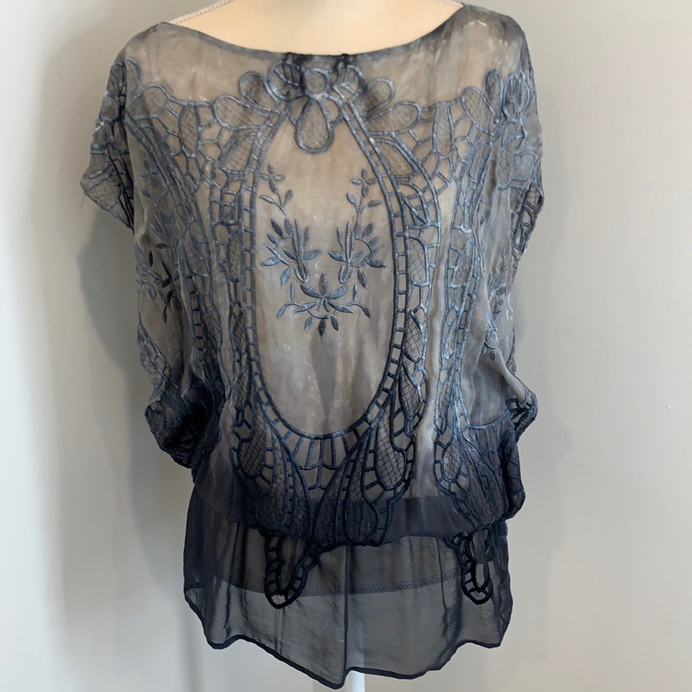 Stunning Sheer Blouse